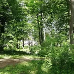 Мини-отель Dwor *