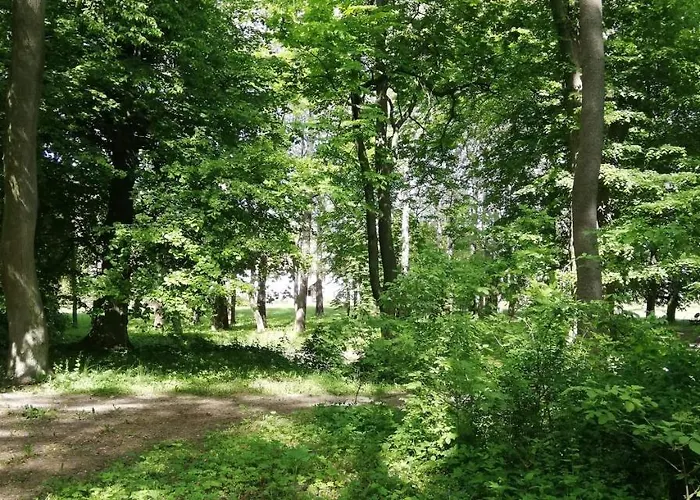 Han/Misafirhane Dwor *